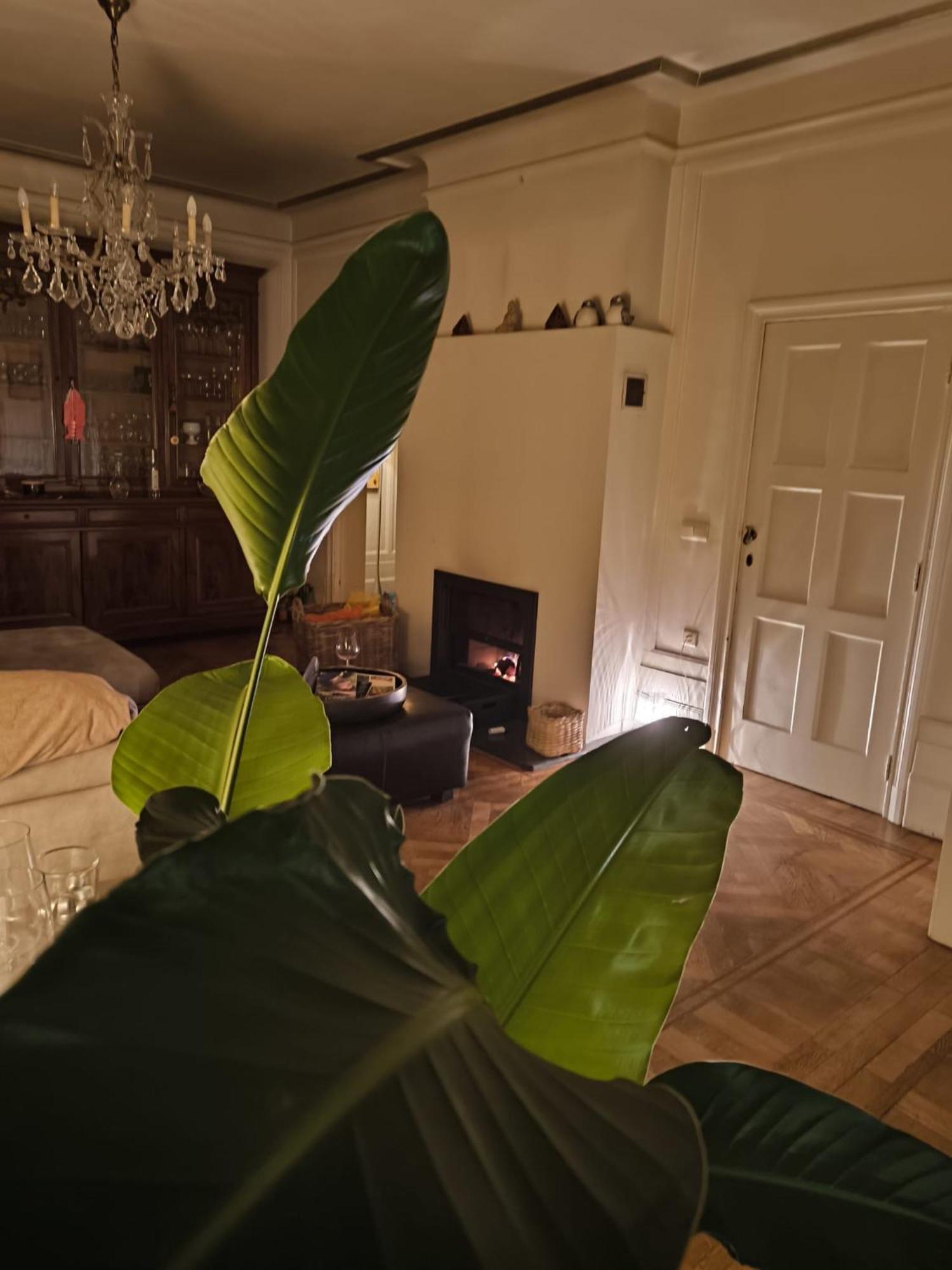 Apartamento Le Castel Mosan Namur Exterior foto